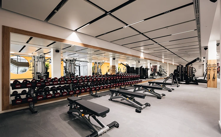 Freihantelbereich mit Spiegelwand im Fitness Center Theresienhöhe.