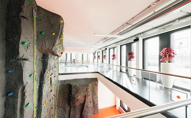 Center Hirschgarten Training Klettern Kletterwand in München