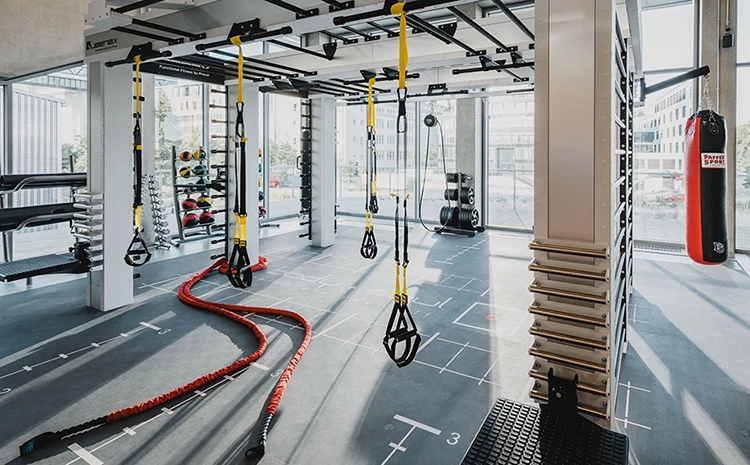Das QUEENAX System mit TRX® bietet dir zahlreiche Trainingsmöglichkeiten.