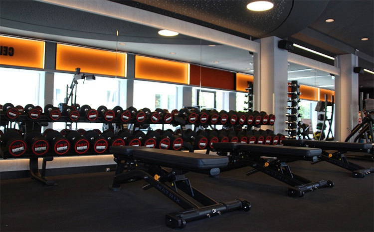 Center Muenchen Mitte Krafttraining Workout Fitness Benches Hanteln
